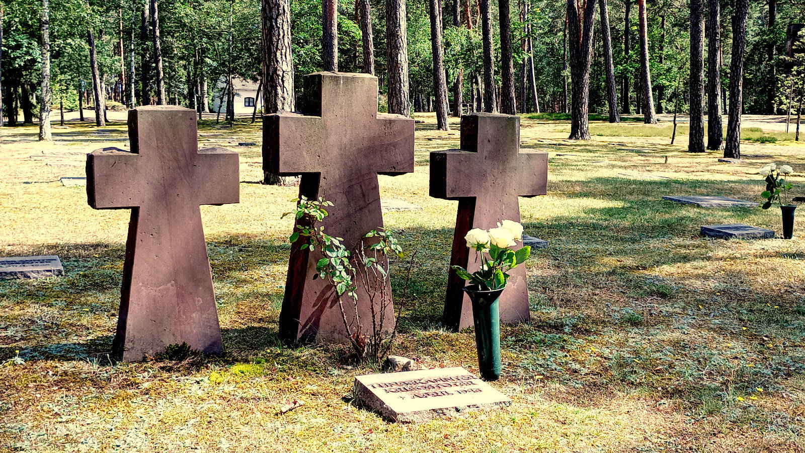Grabkreuze von Kriegstoten auf der Gedenkstätte in Halbe